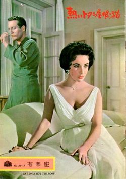 熱いトタン屋根の上の猫