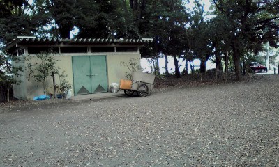 101018_1414~01リヤカー