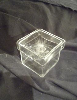 ケサランバサラン027