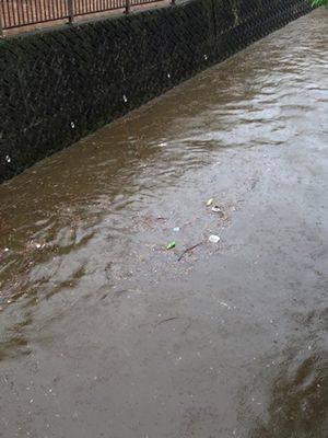 008ごみの川