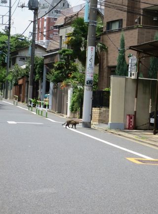 017おっいましたね、