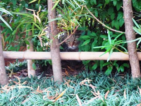 そんな彼を見ている私030