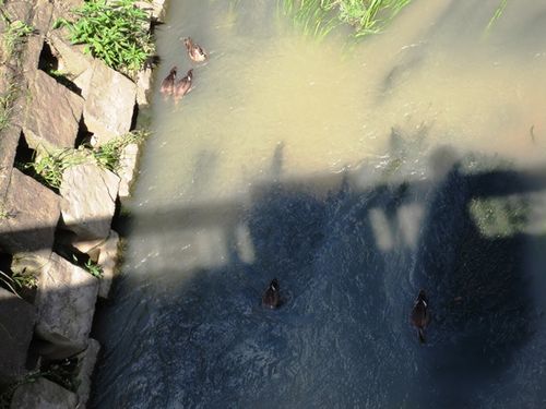 008一生覚えておこう