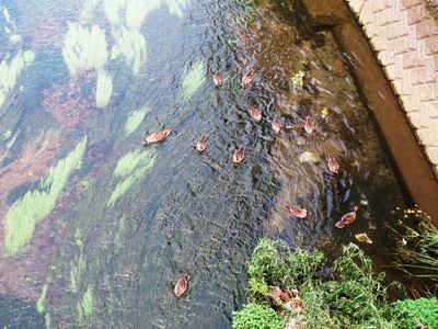 015場所変えて食事2