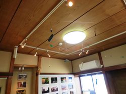 国立　照明が素敵035