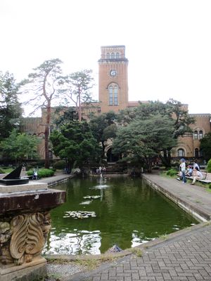 近づいてみると鮒がうかんでいた043