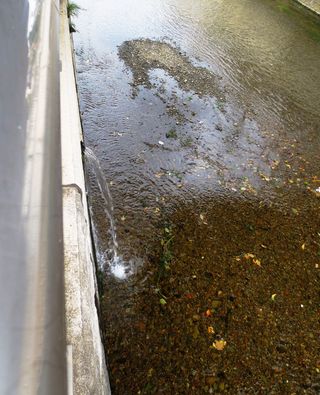 枯れ葉が流れる川077