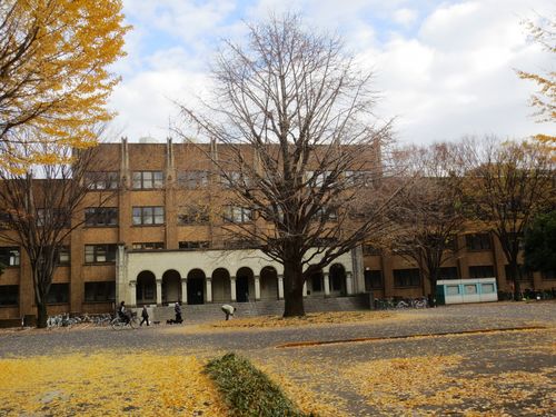 落ちてしまった銀杏