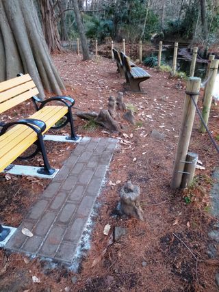 037根っこの公園