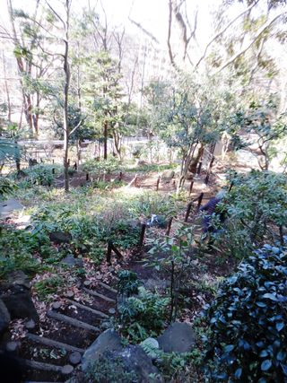 カシオ三の坂060