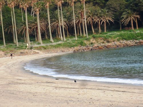 211カラスの足跡