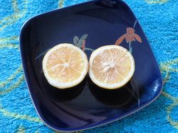 026柚子皿に
